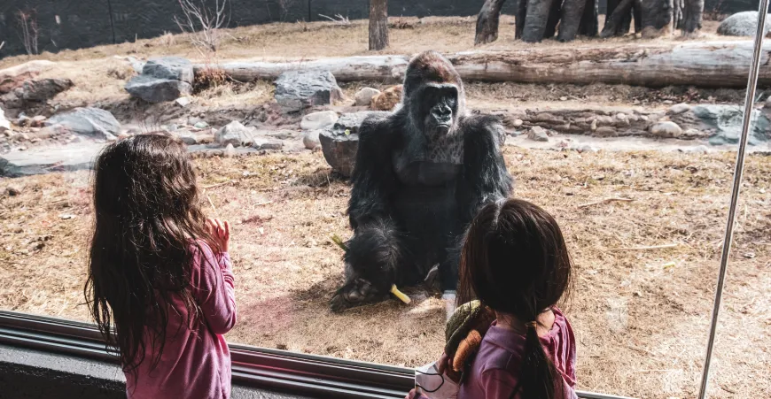 Flughafentransfer Singapur