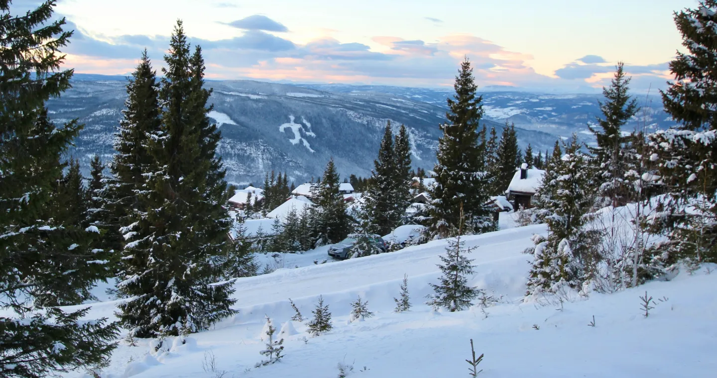 Cómo ir de Oslo a Lillehammer