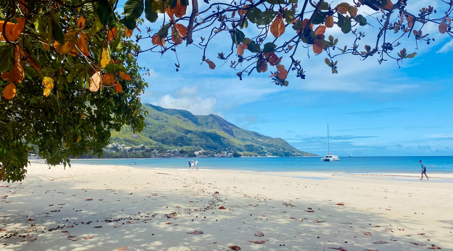 Сomment Aller de Aéroport de la Pointe Larue à Beau Vallon