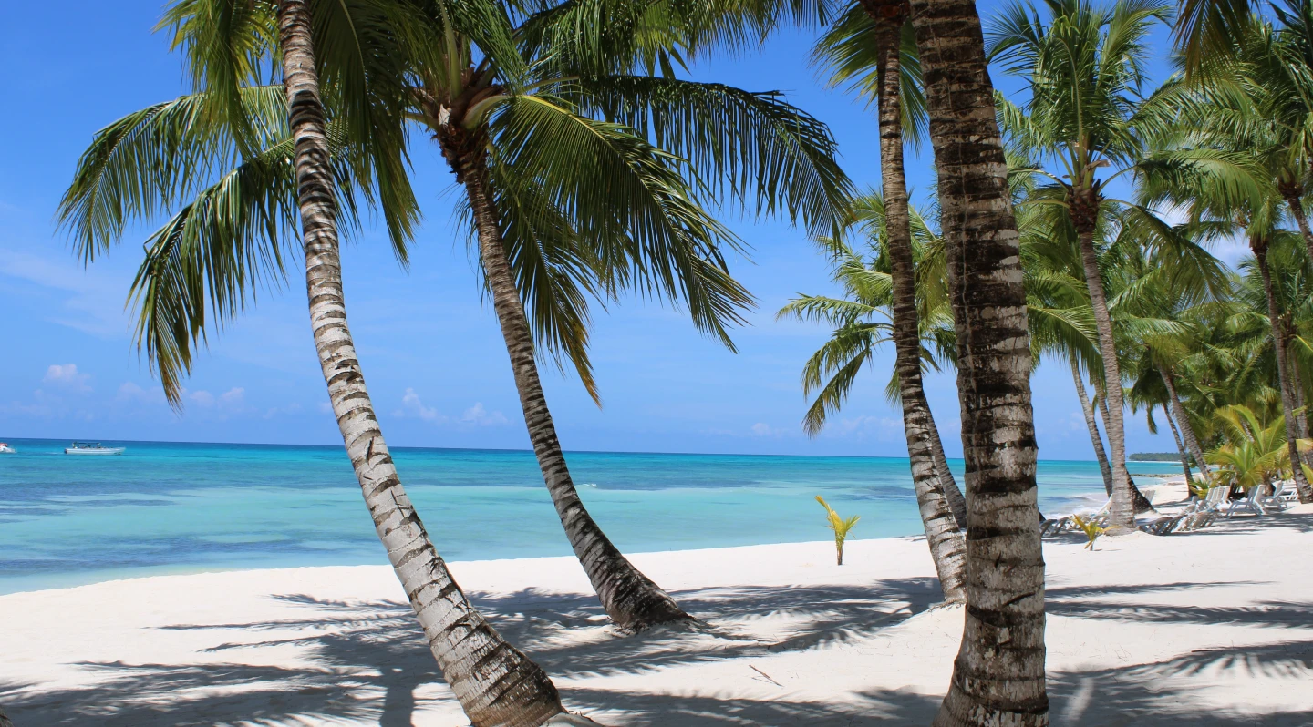 Come Arrivare Dall'aeroporto di Punta Cana a Bávaro