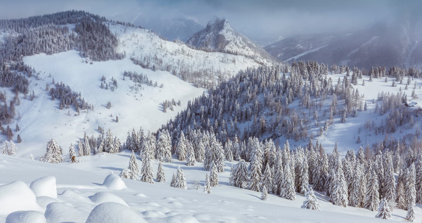 Как Добраться из Братиславы в Доновалы