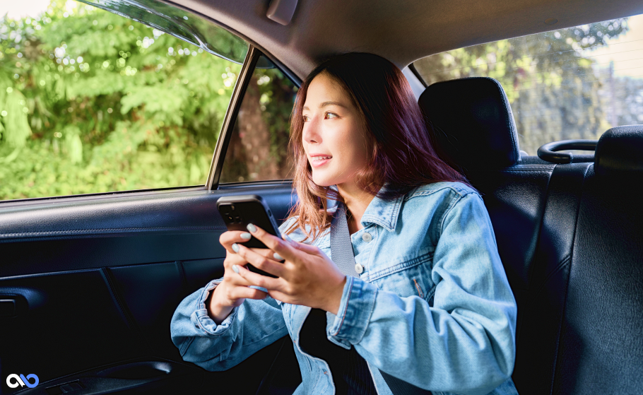 İndira Gandhi Yeni Delhi Havaalanı Transferi ve Taksi