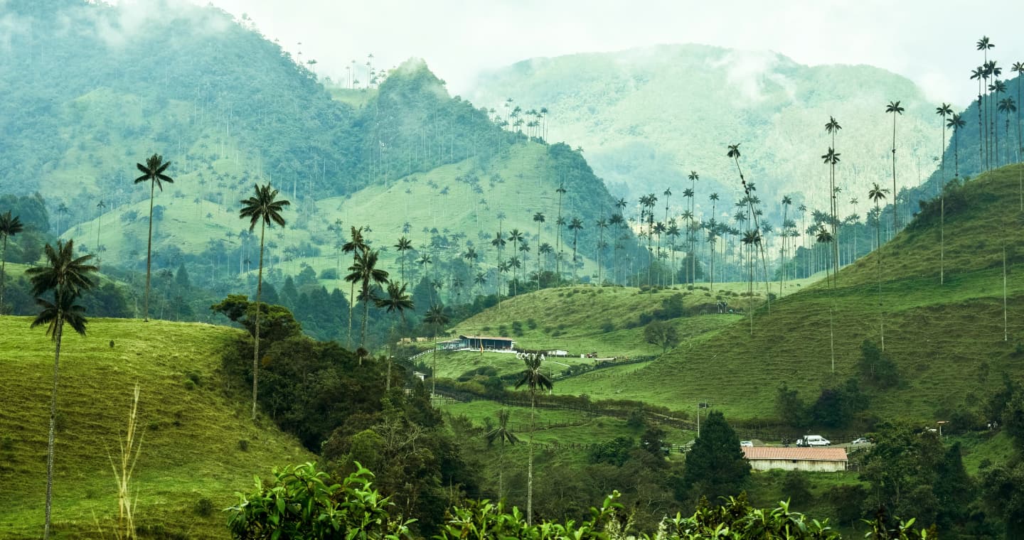 Як Дістатися з Аеропорту Перейра до Саленто в Колумбії