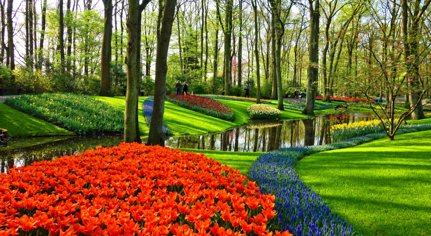 Таксі з Аеропорту в Нідерландах